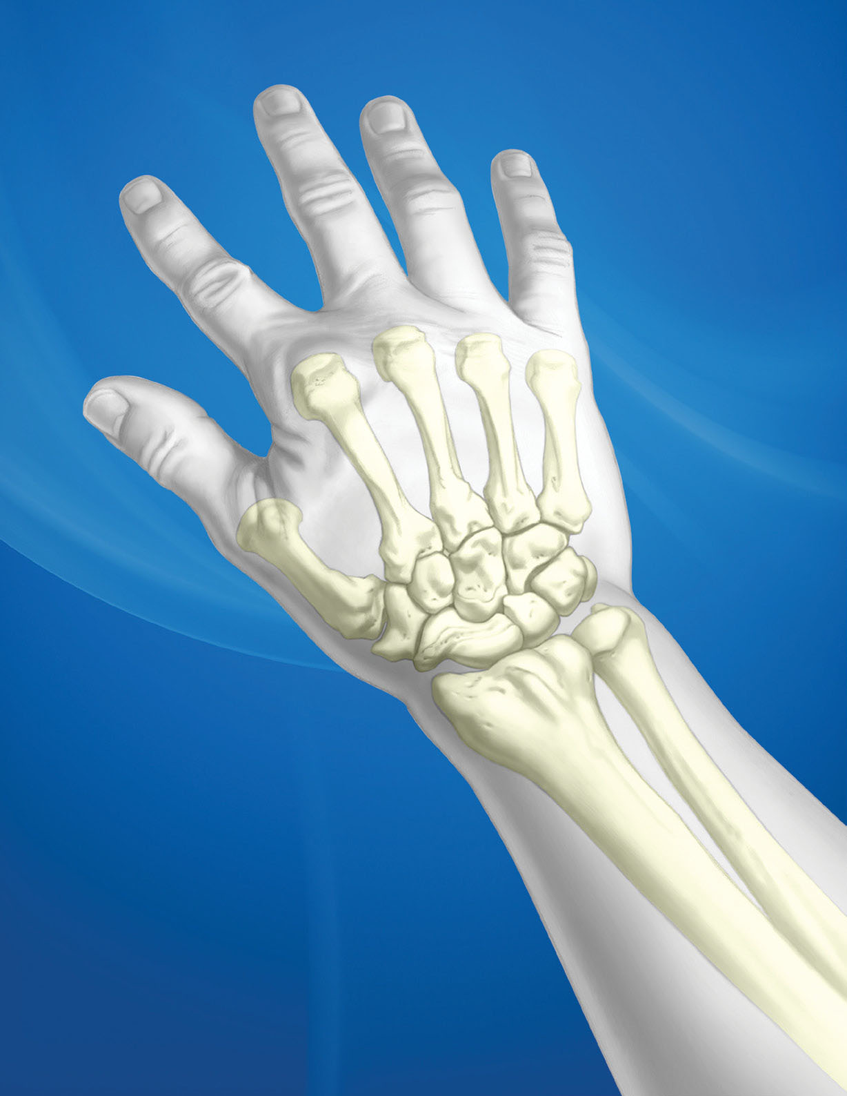 TriMed Ortho Providers